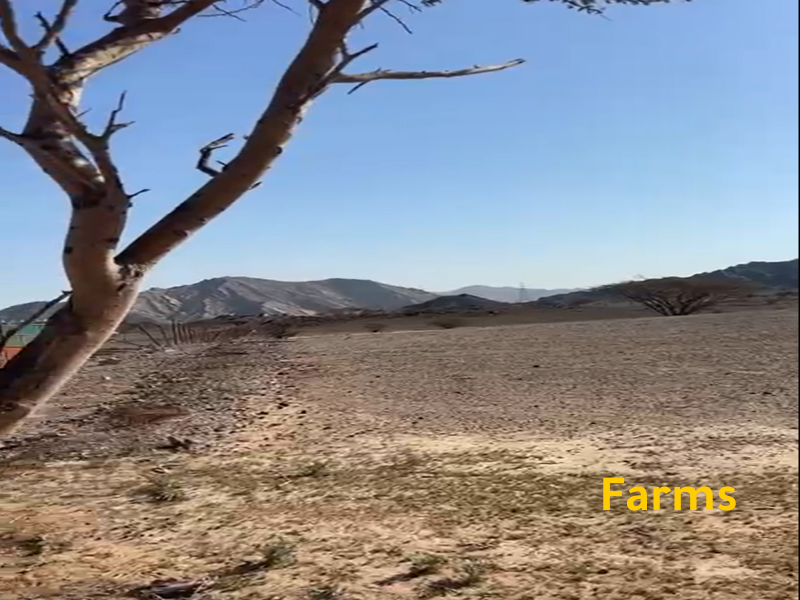 مزرعة للايجار فى راس الخيمة مساحة 168 الف قدم